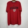 Remera Washington Nike
