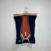 Short Illinois Nike