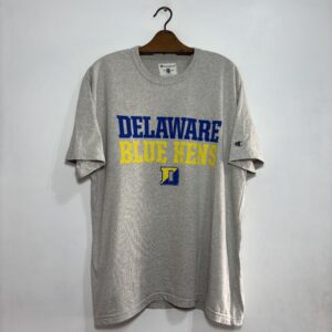 Remera Delaware Champion